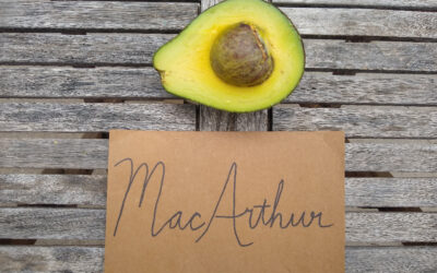 MacArthur avocado: a profile