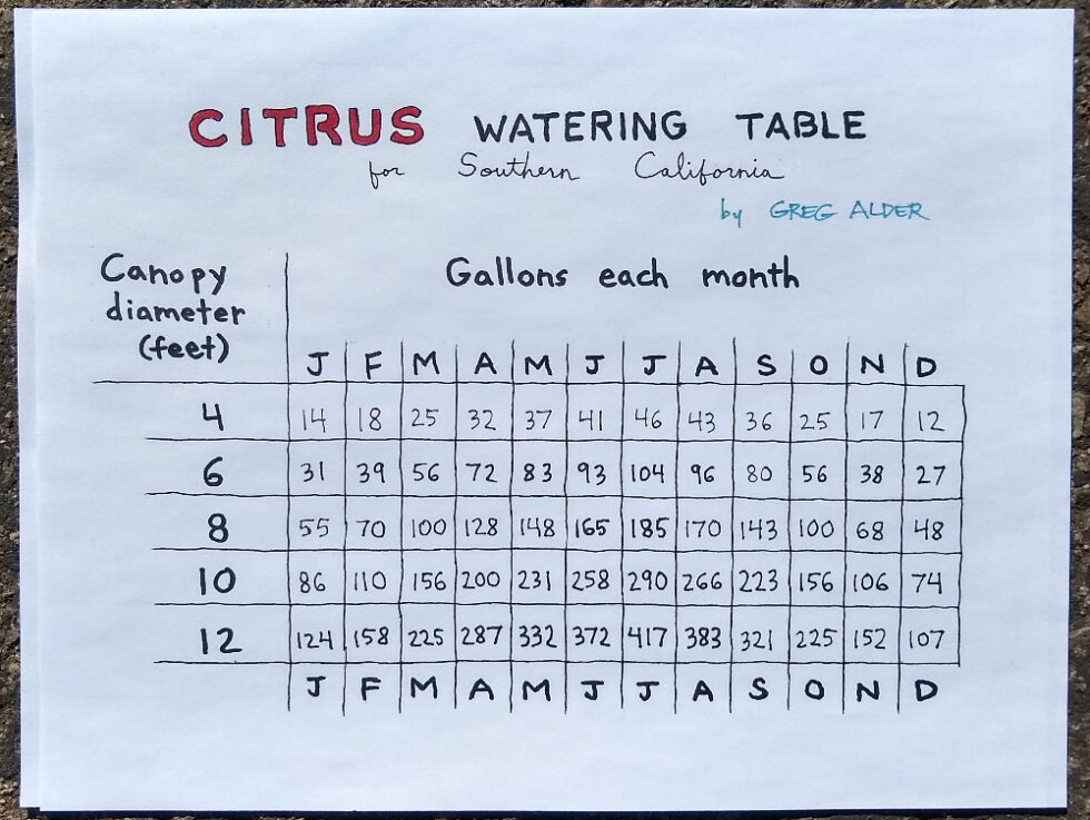 Watering citrus trees in Southern California Greg Alder's Yard Posts Southern California food