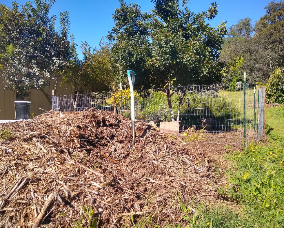 Why a chicken coop and run should have a floor of wood chips Greg