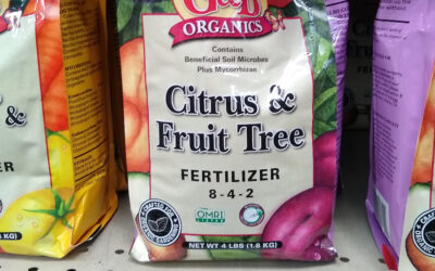 “Has this fruit tree been fertilized?”