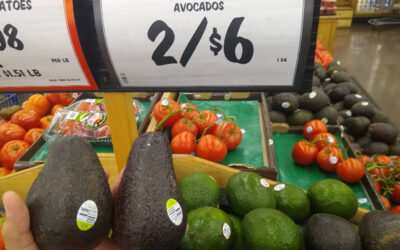 What’s a “Jumbo Hass” avocado?