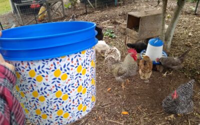How I compost, today