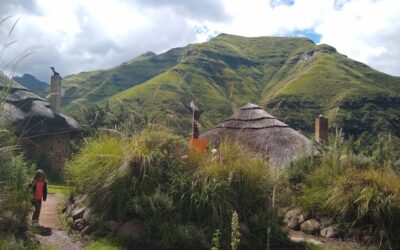 African gardens put ours into perspective