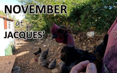 November in Jacques’ garden