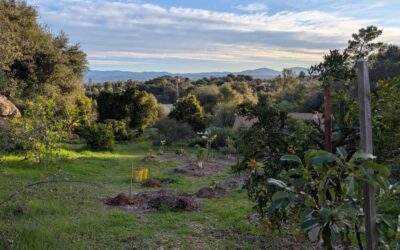 The yard of The Yard Posts