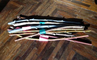 2026 Scion Exchanges (of the California Rare Fruit Growers)