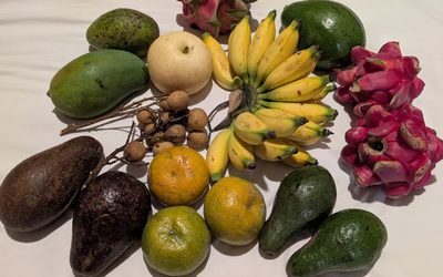Food gardens in Sumatra, Indonesia